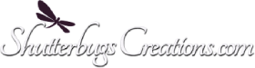 credit logo credit logo